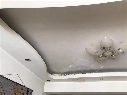 漏水檢測儀多少錢(圖1)