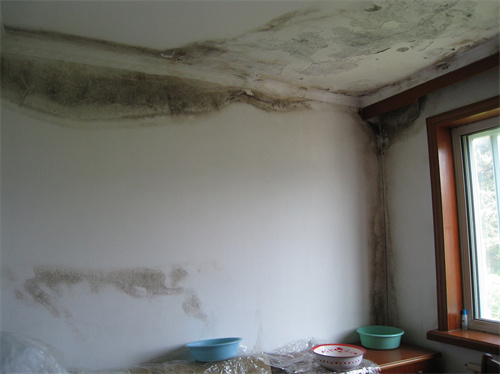 漏水檢測儀多少錢(圖2)